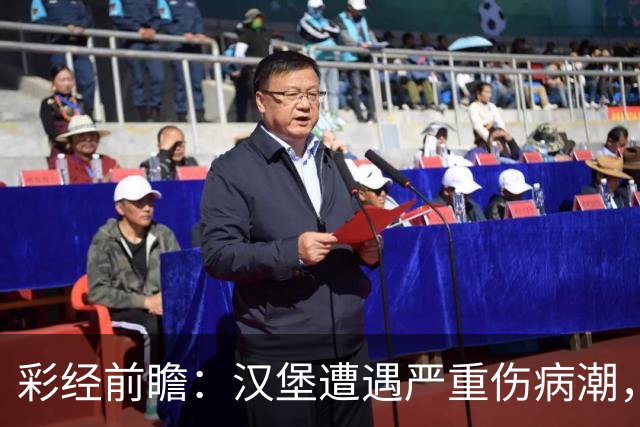 彩经前瞻：汉堡遭遇严重伤病潮，法兰克福客场有望晋级
