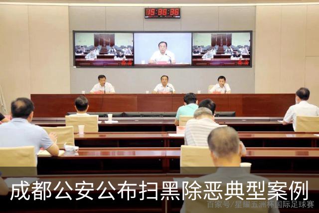成都公安公布扫黑除恶典型案例