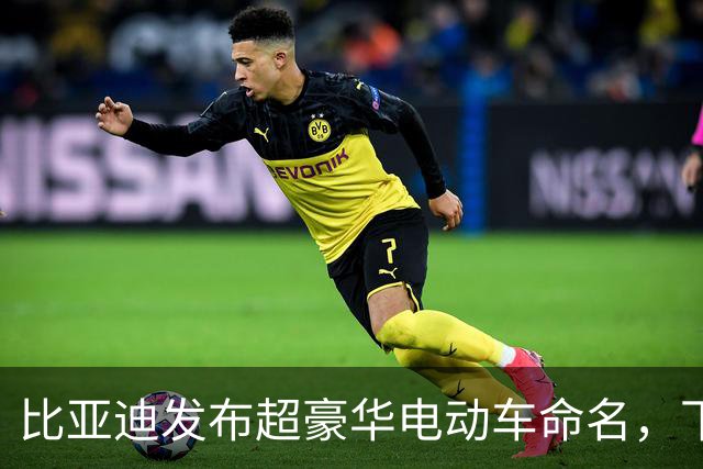 比亚迪发布超豪华电动车命名，下周或将改写行业格局