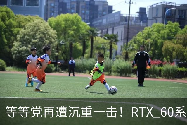 等等党再遭沉重一击！RTX 60系显卡难产：甜品卡直奔2029年