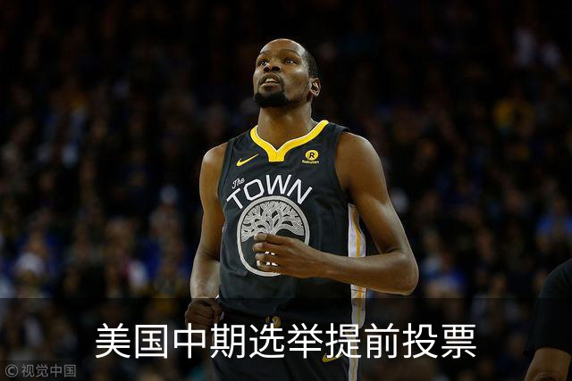 美国中期选举提前投票