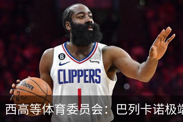 西高等体育委员会：巴列卡诺极端球迷被建议罚款+禁止入球场