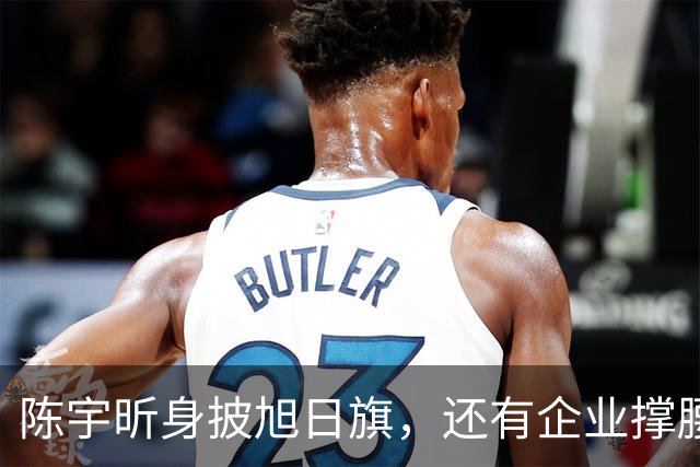 陈宇昕身披旭日旗，还有企业撑腰，汤家凤怒喊露头就打